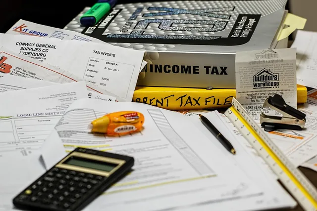 income tax, calculation, calculate, paperwork, tax, income, finance, calculator, financial, accounting, paper, office, irs, business, taxation, clutter, income tax, tax, tax, tax, tax, tax, accounting. Which entity tax treatment services are worth paying for